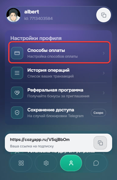 Раздел Способы оплаты в профиле Cozy VPN